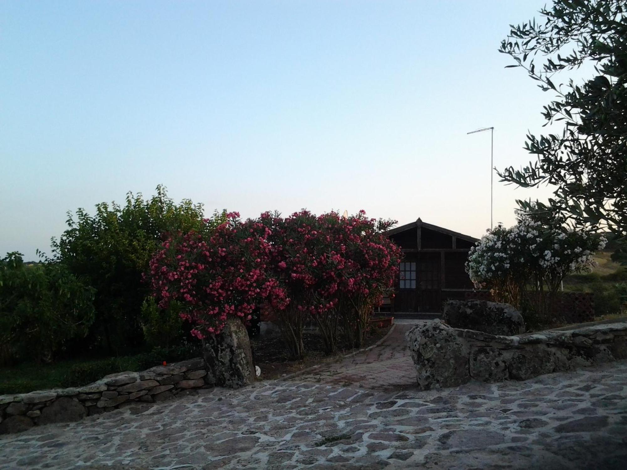 Ittiri Agriturismo Su Recreu חדר תמונה
