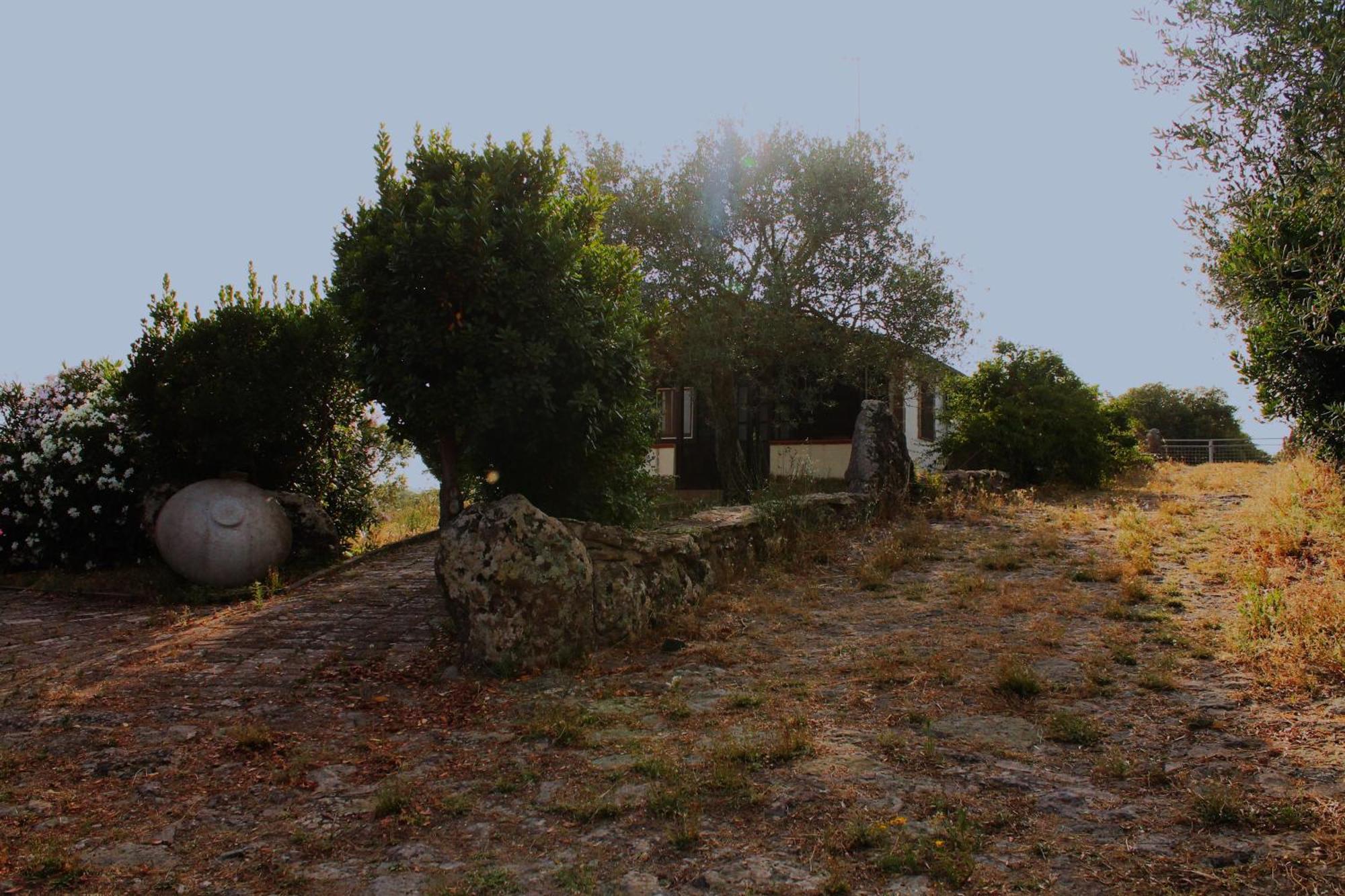 Ittiri Agriturismo Su Recreu מראה חיצוני תמונה