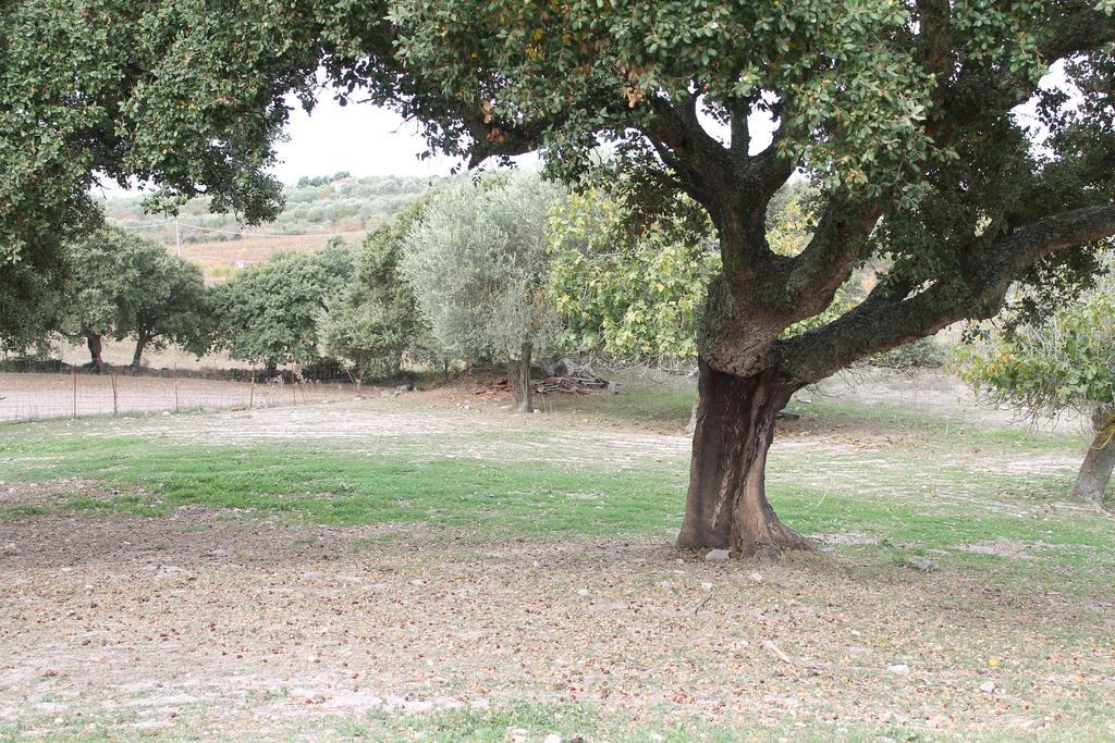 Ittiri Agriturismo Su Recreu מראה חיצוני תמונה