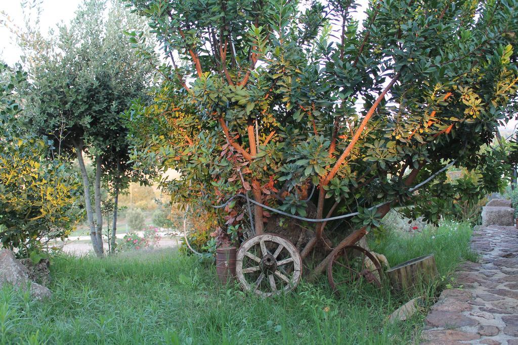 Ittiri Agriturismo Su Recreu מראה חיצוני תמונה