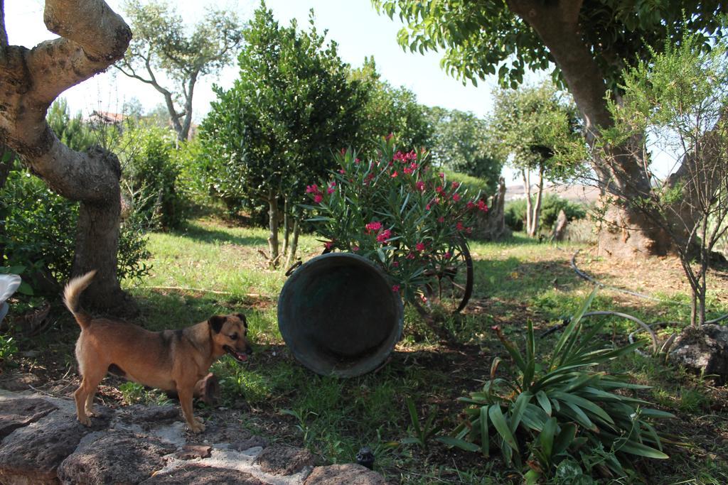 Ittiri Agriturismo Su Recreu מראה חיצוני תמונה