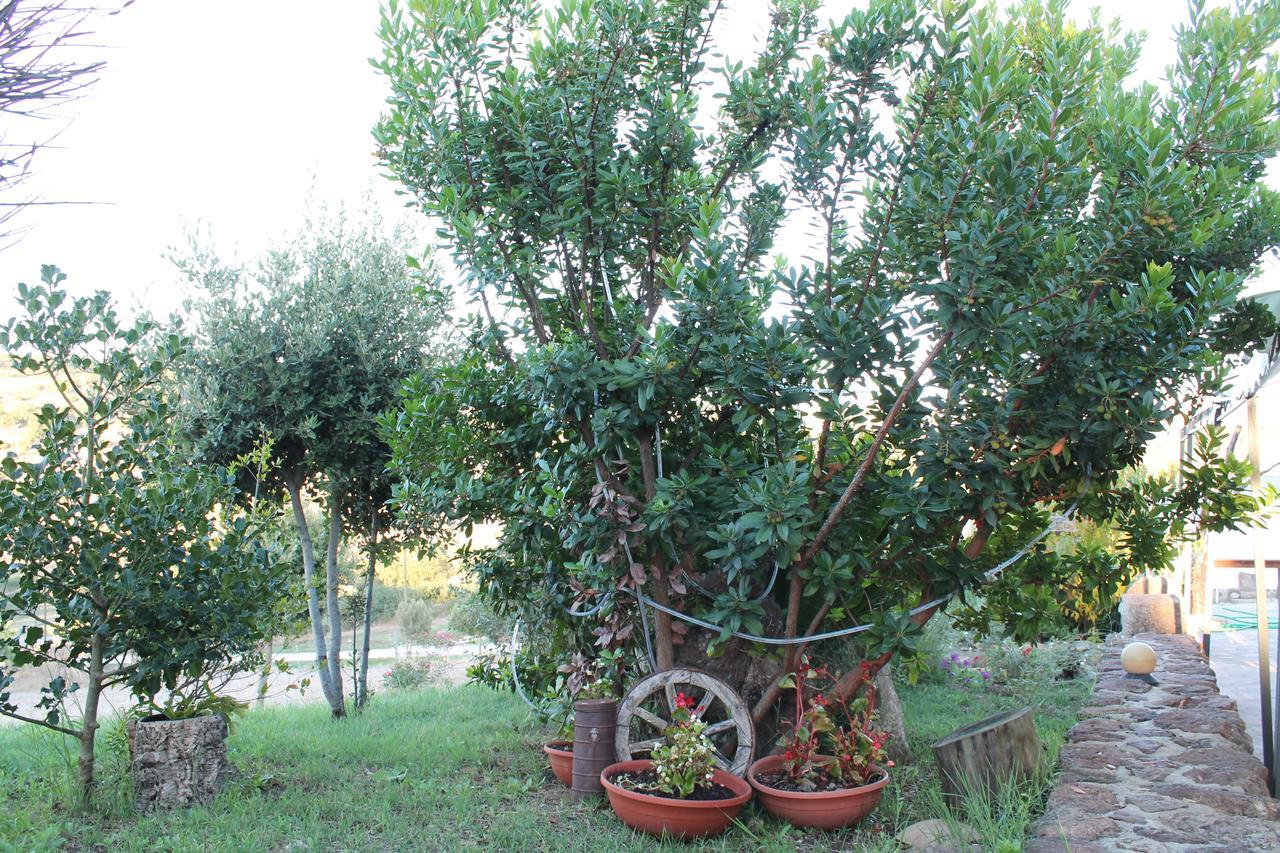 Ittiri Agriturismo Su Recreu מראה חיצוני תמונה