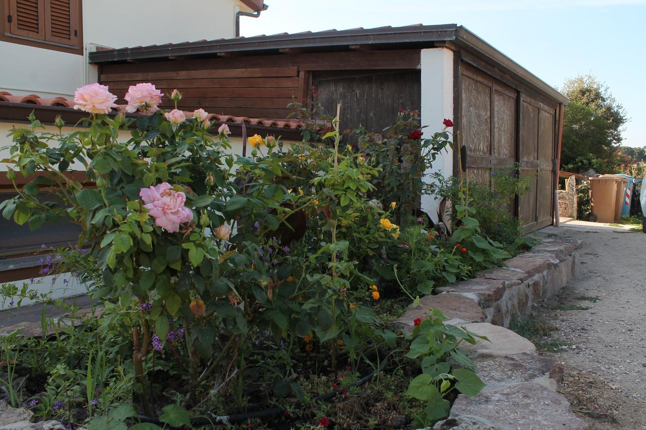 Ittiri Agriturismo Su Recreu מראה חיצוני תמונה