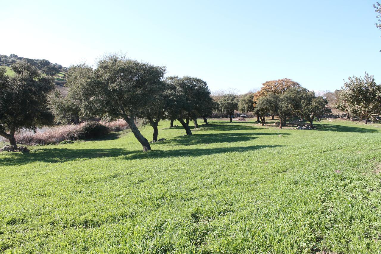 Ittiri Agriturismo Su Recreu מראה חיצוני תמונה
